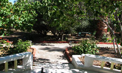 sunrise apartments yard 2